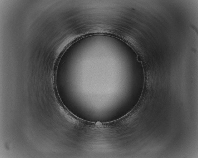 X0000101990942200807181144