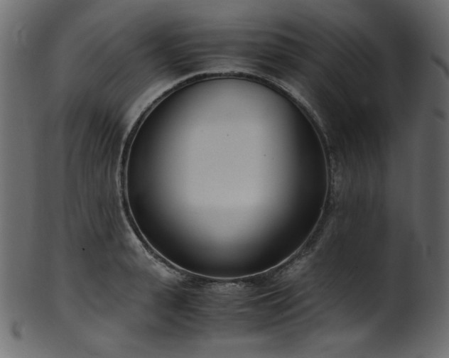 X0000101990943200807181144