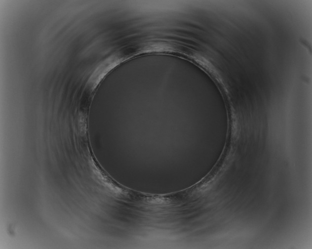 X0000101990945200807181145