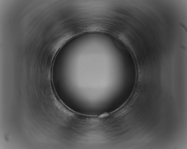 X0000101990946200807181145