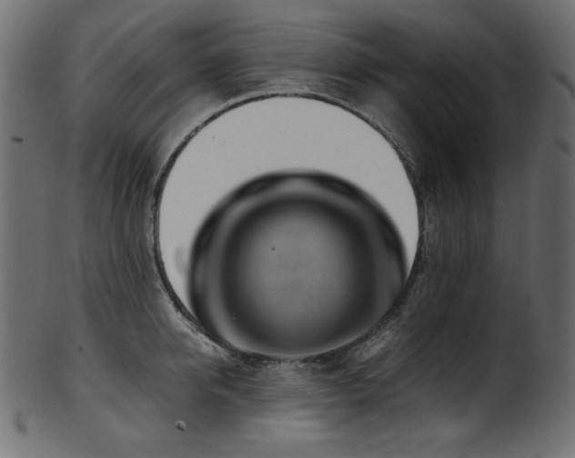 X0000101990950200807181145