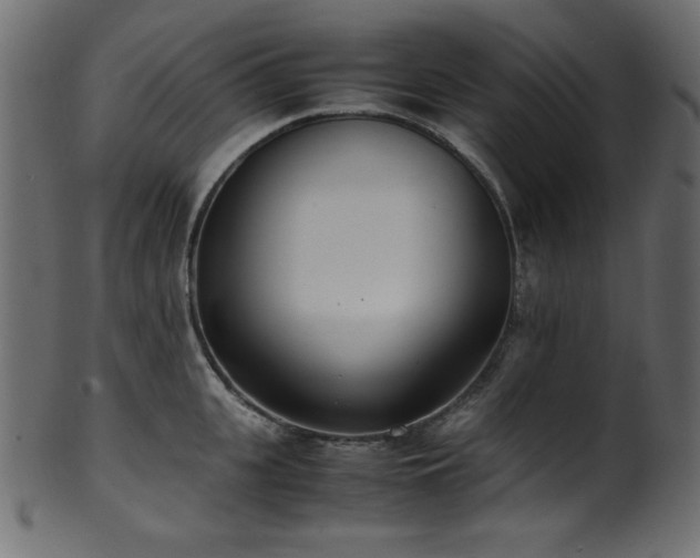 X0000101990951200807181145