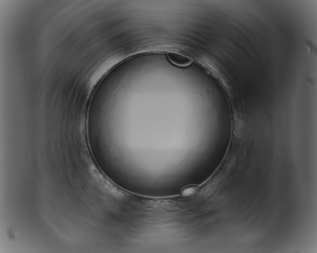 X0000101990952200807181145