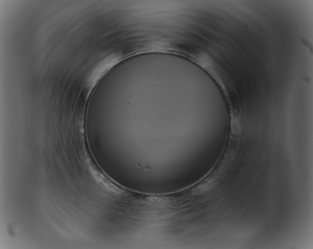 X0000101990954200807181145