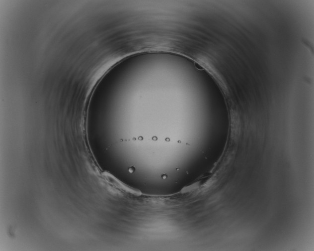 X0000101990956200807181145