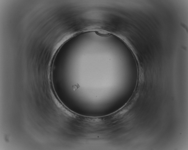X0000101990957200807181145