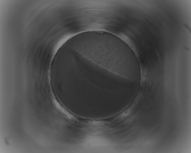 X0000101990958200807181145