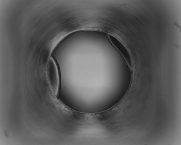 X0000101990960200807181145