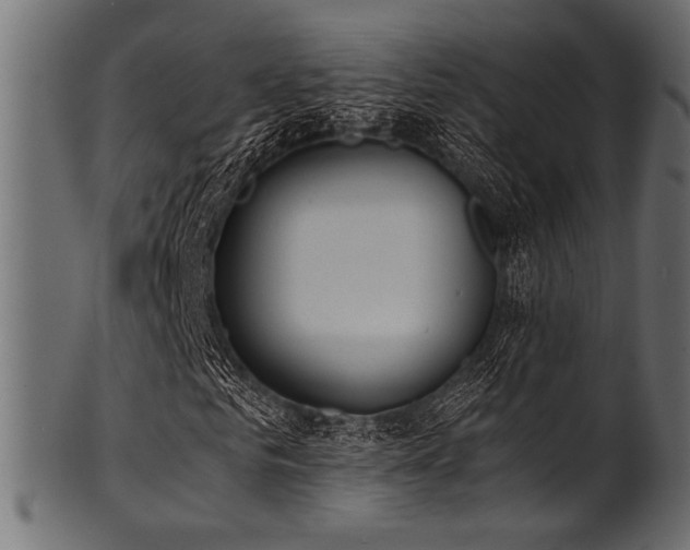 X0000101990961200807181144