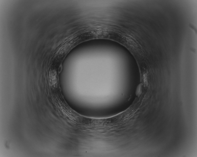 X0000101990963200807181144