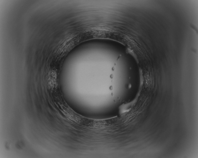 X0000101990964200807181144