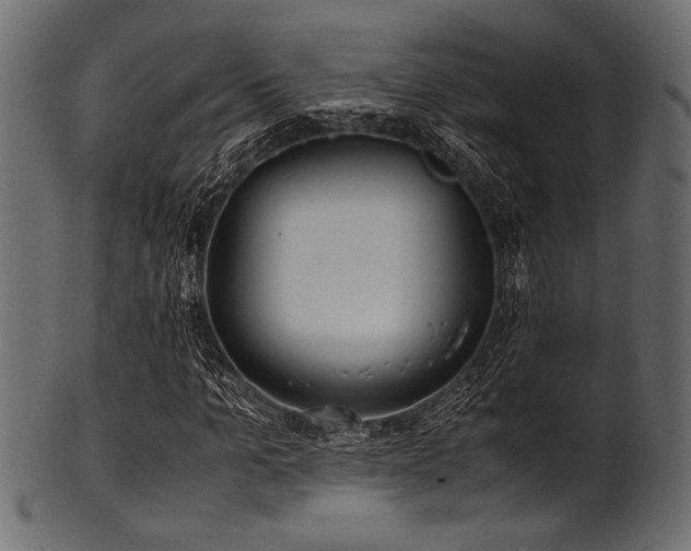 X0000101990965200807181144