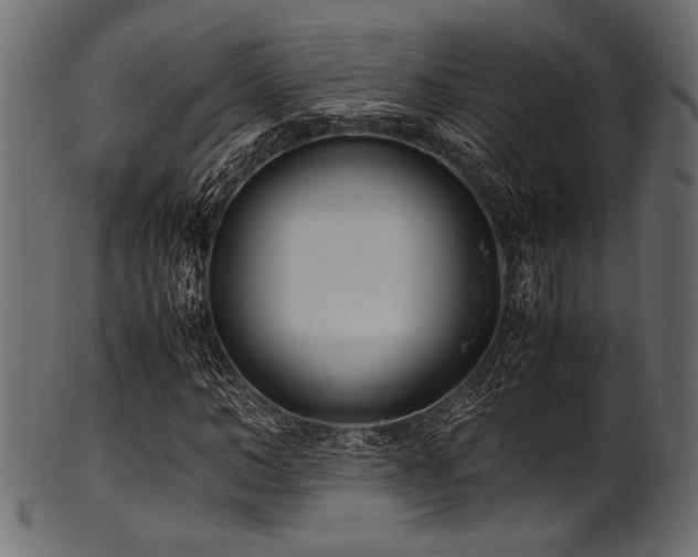 X0000101990966200807181144
