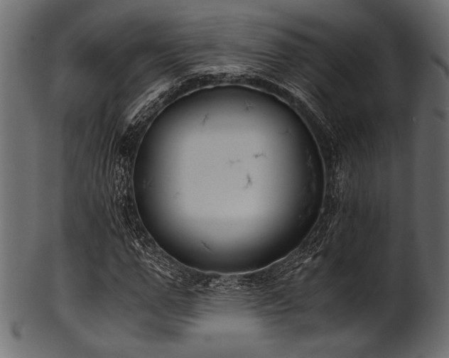 X0000101990967200807181144