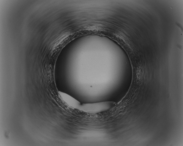 X0000101990968200807181144