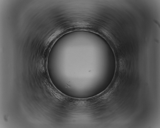 X0000101990970200807181144