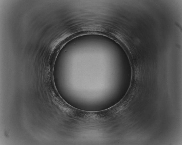 X0000101990971200807181144