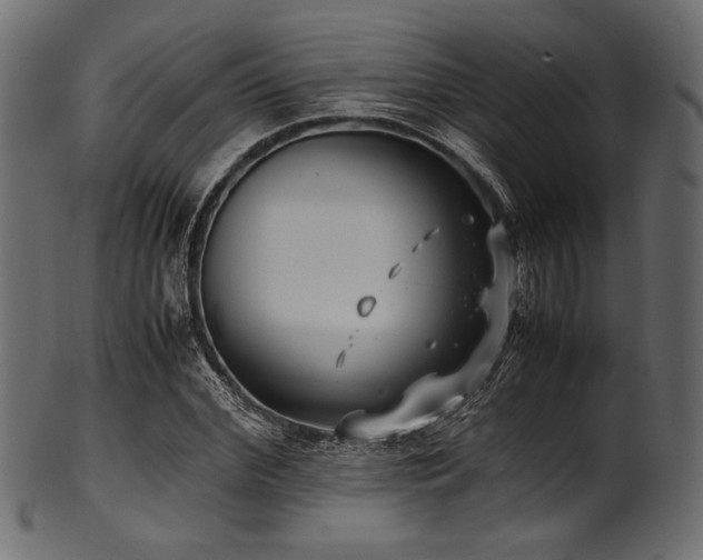 X0000101990972200807181144