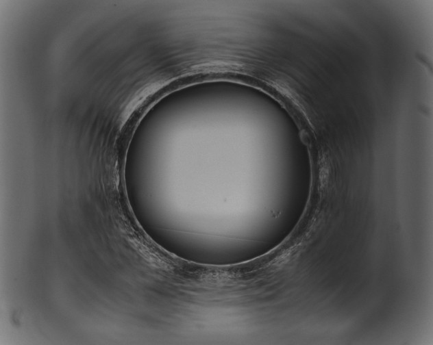 X0000101990973200807181144
