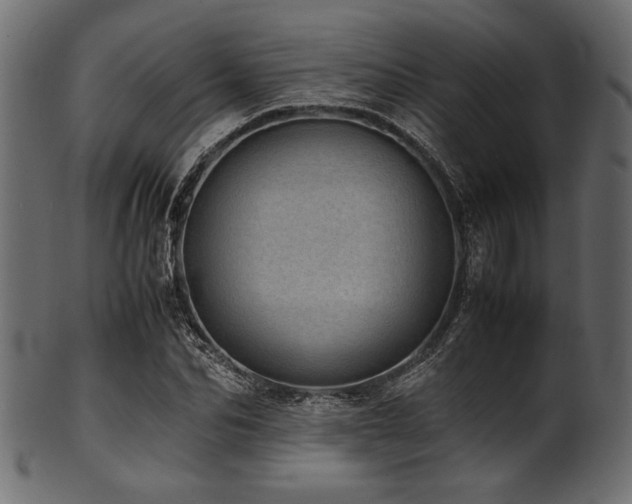 X0000101990974200807181144