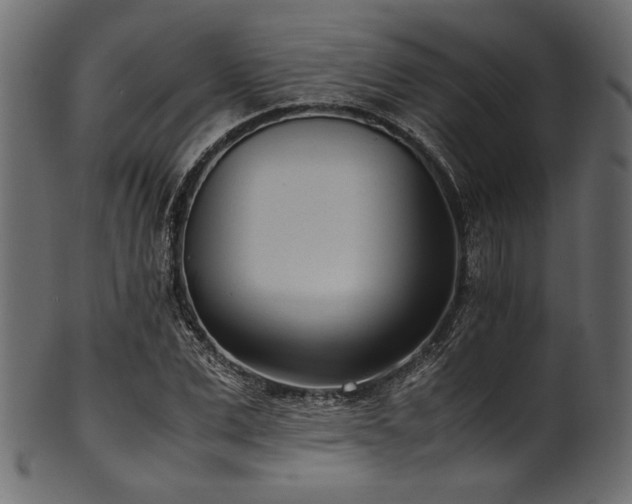 X0000101990975200807181144