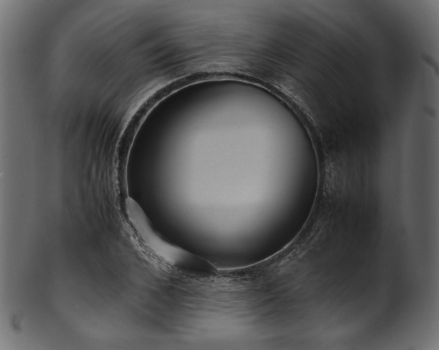 X0000101990976200807181144