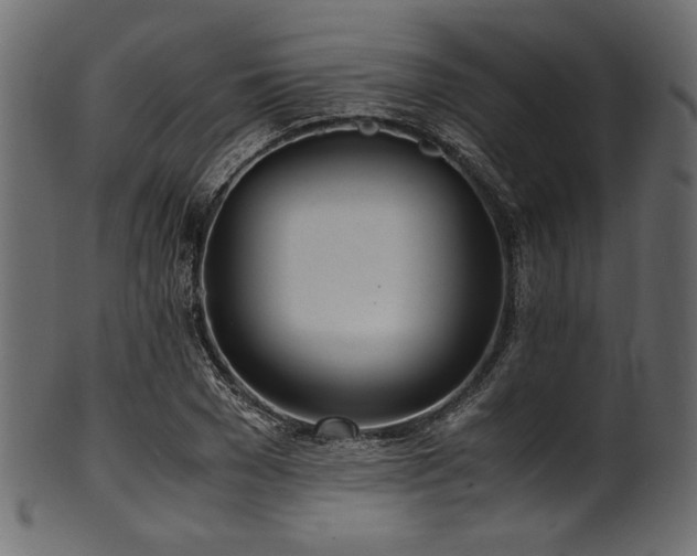 X0000101990977200807181144