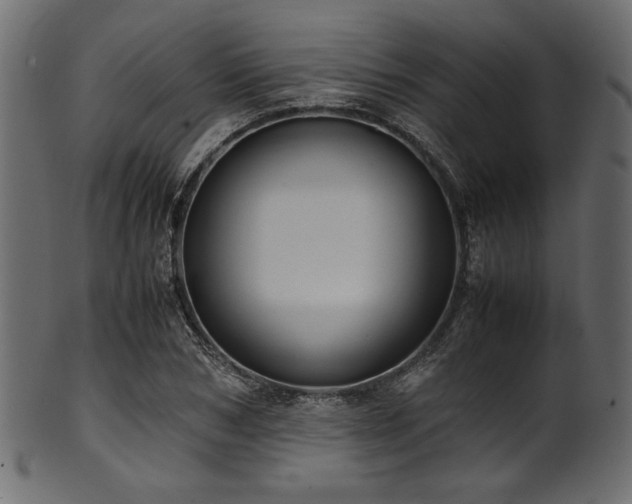 X0000101990978200807181144