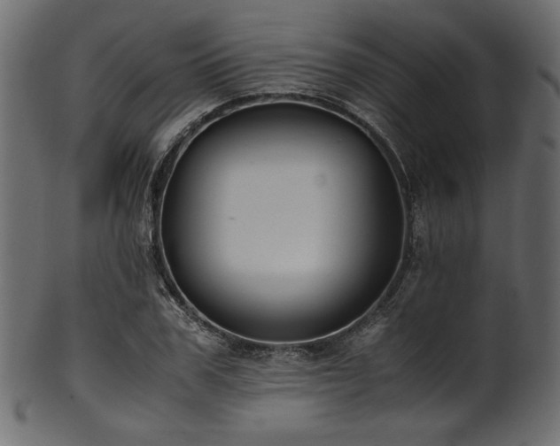 X0000101990979200807181144