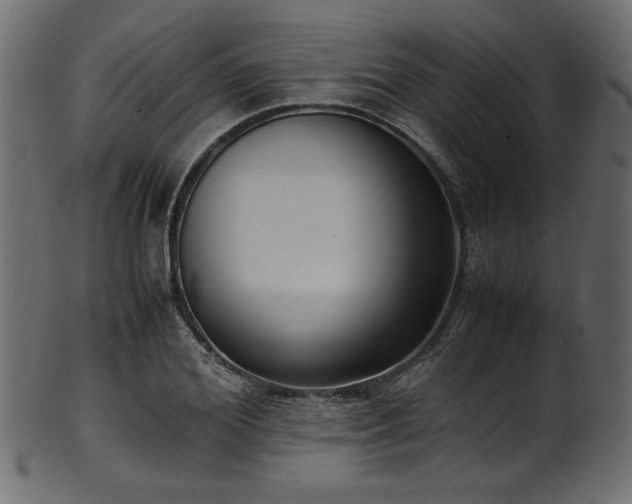 X0000101990980200807181144