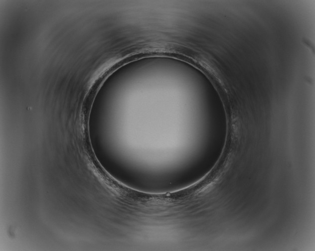 X0000101990981200807181144