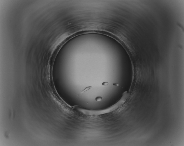 X0000101990982200807181144