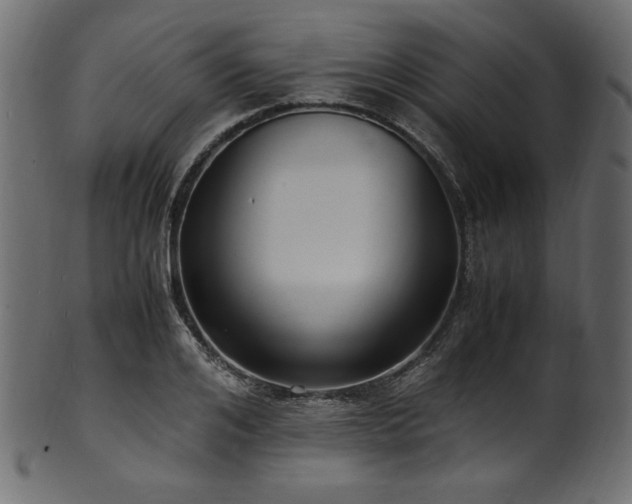 X0000101990984200807181144