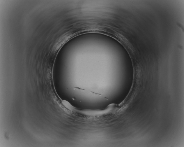 X0000101990985200807181144