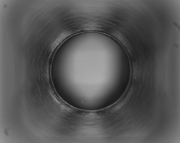 X0000101990986200807181144