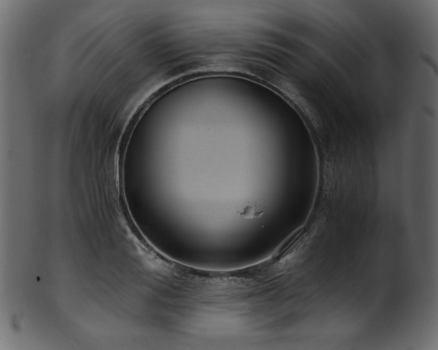 X0000101990988200807181144