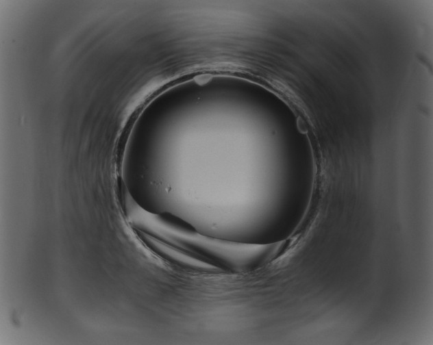X0000101990989200807181144