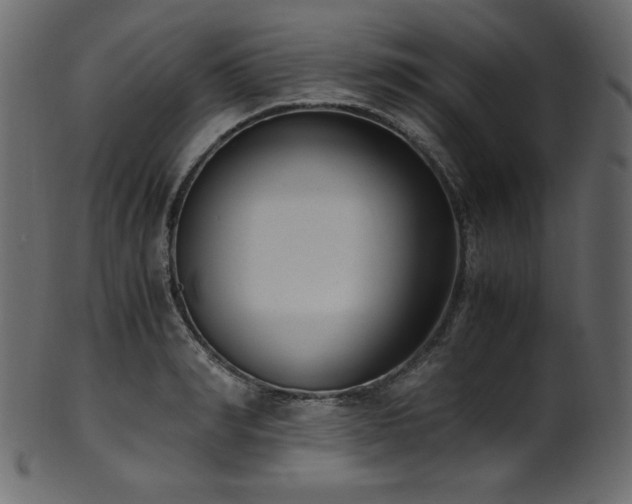 X0000101990990200807181144