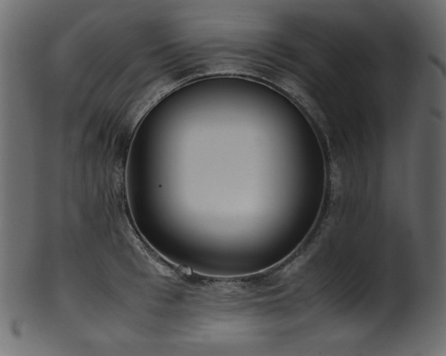 X0000101990993200807181143