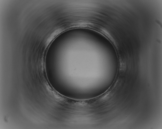 X0000101990994200807181143