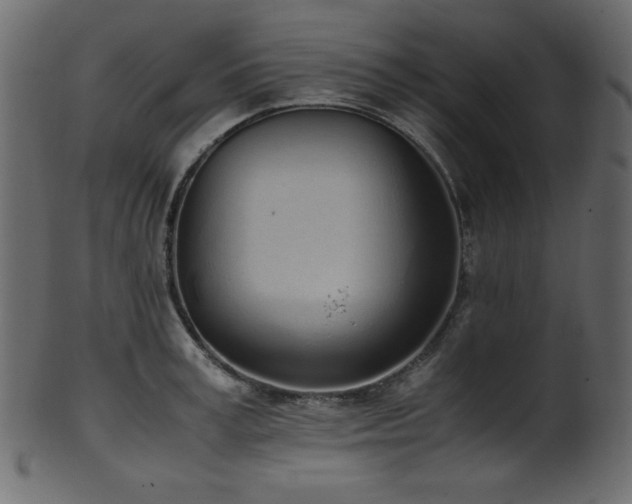 X0000101990995200807181143