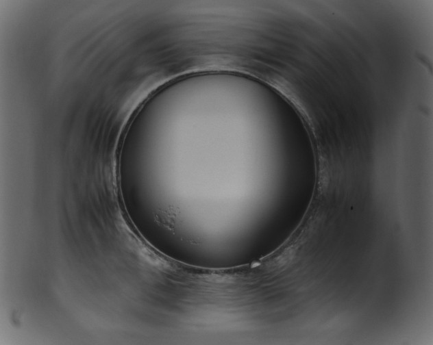 X0000101990996200807181143