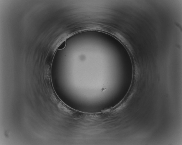 X0000101991001200807181143