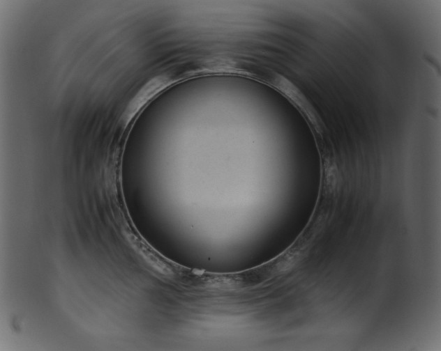 X0000101991002200807181143