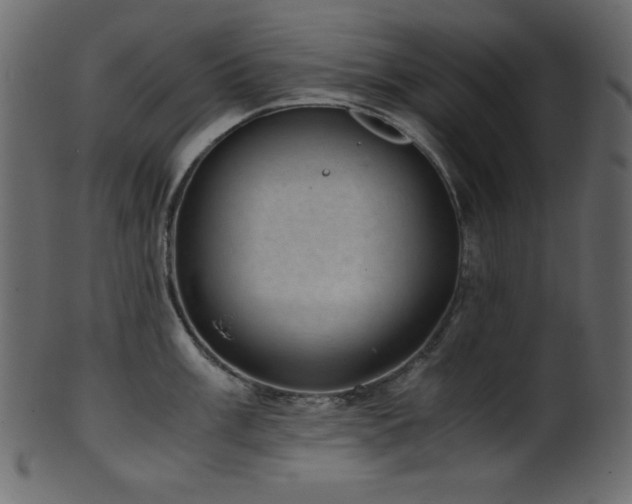 X0000101991003200807181143