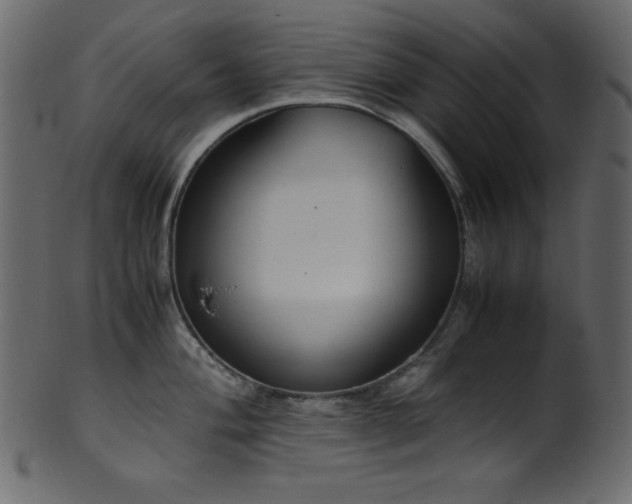X0000101991004200807181143