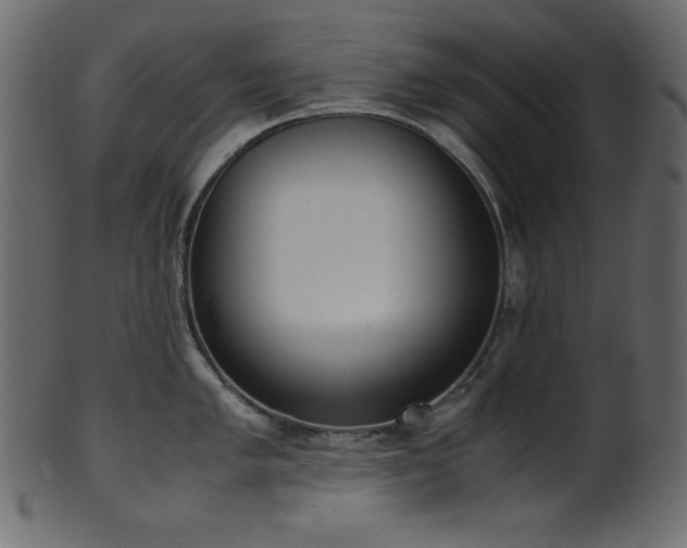 X0000101991005200807181143