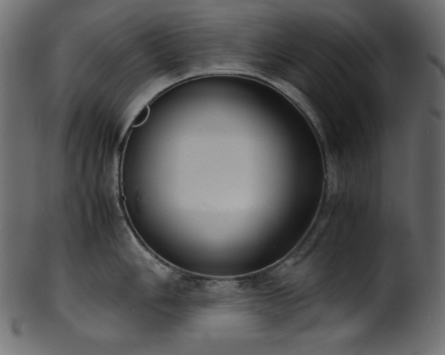 X0000101991006200807181143