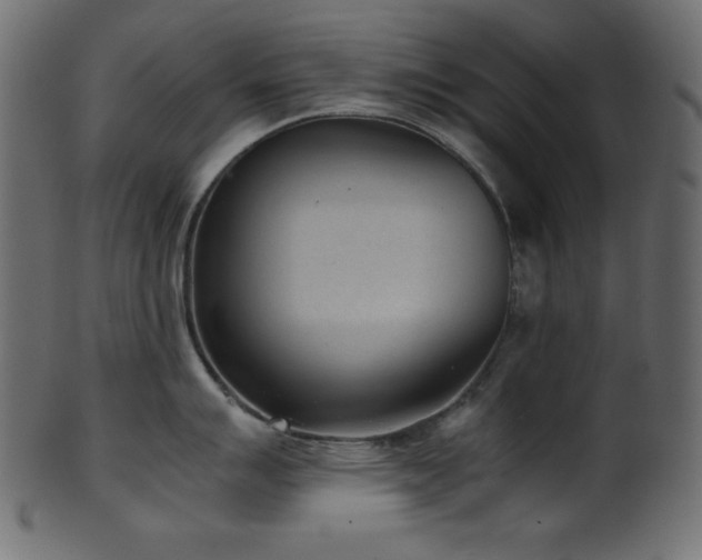 X0000101991007200807181143