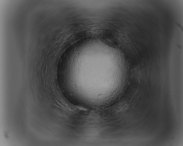 X0000101991009200807181143